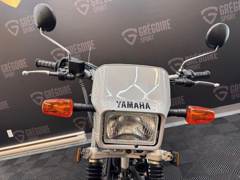 2026 Yamaha Tw200 alt