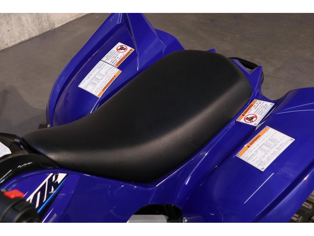 Yamaha Raptor 110 2027