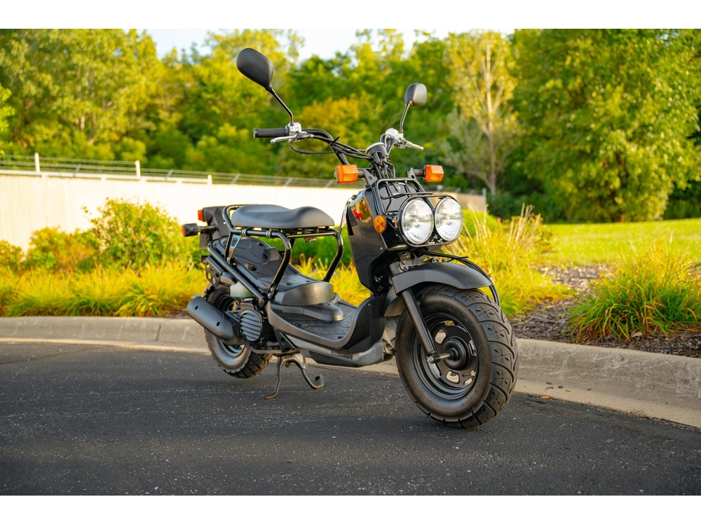 2016 Honda Ruckus