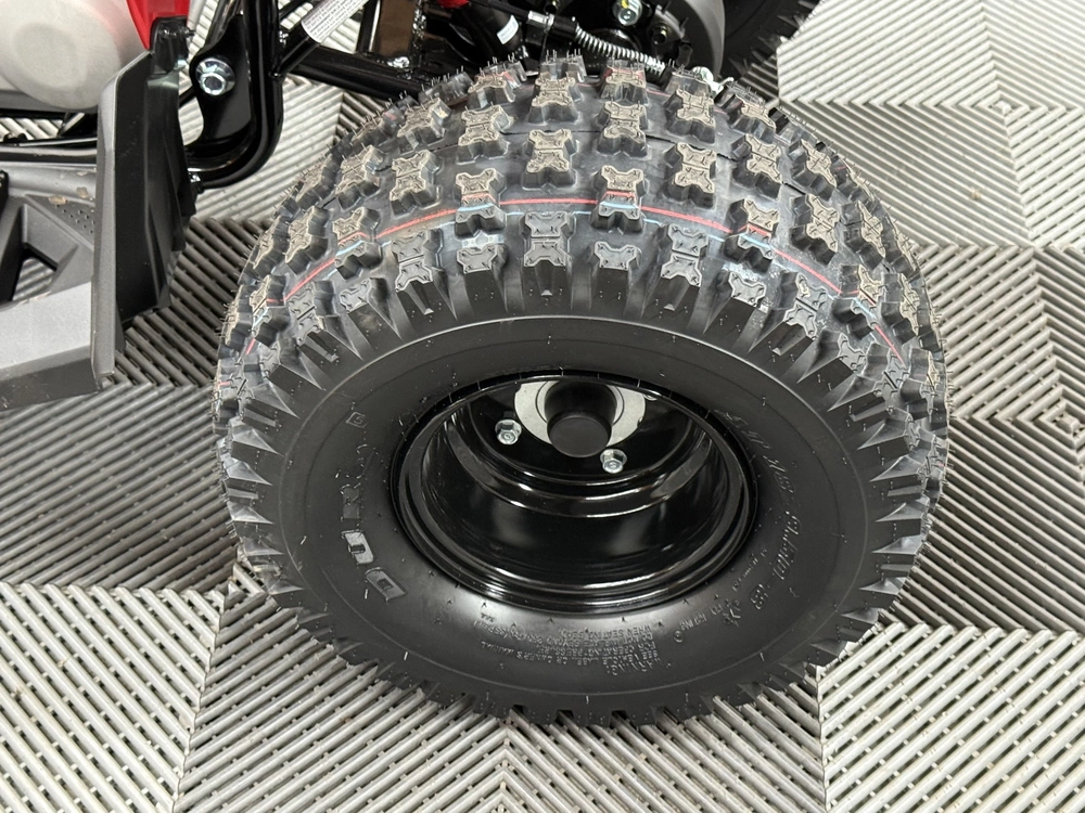 2027 Can-am Renegade 2x4 110