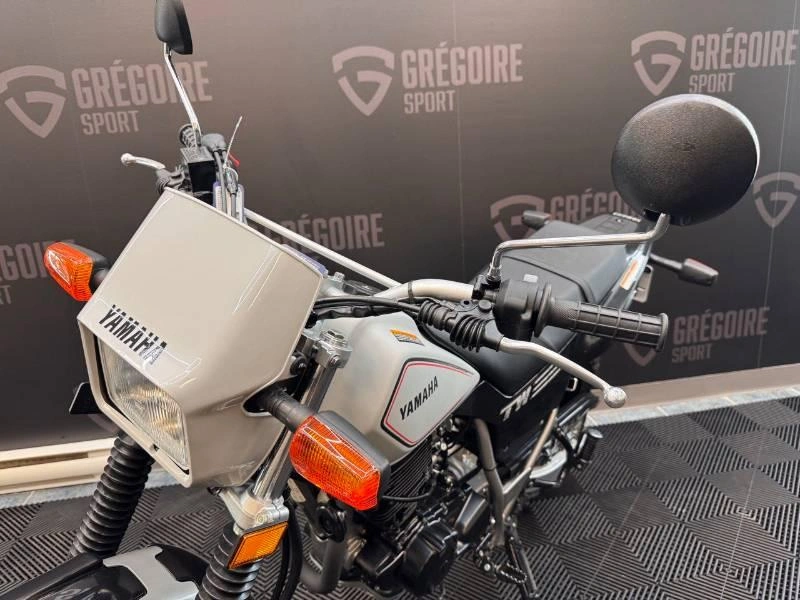2026 Yamaha Tw200 alt