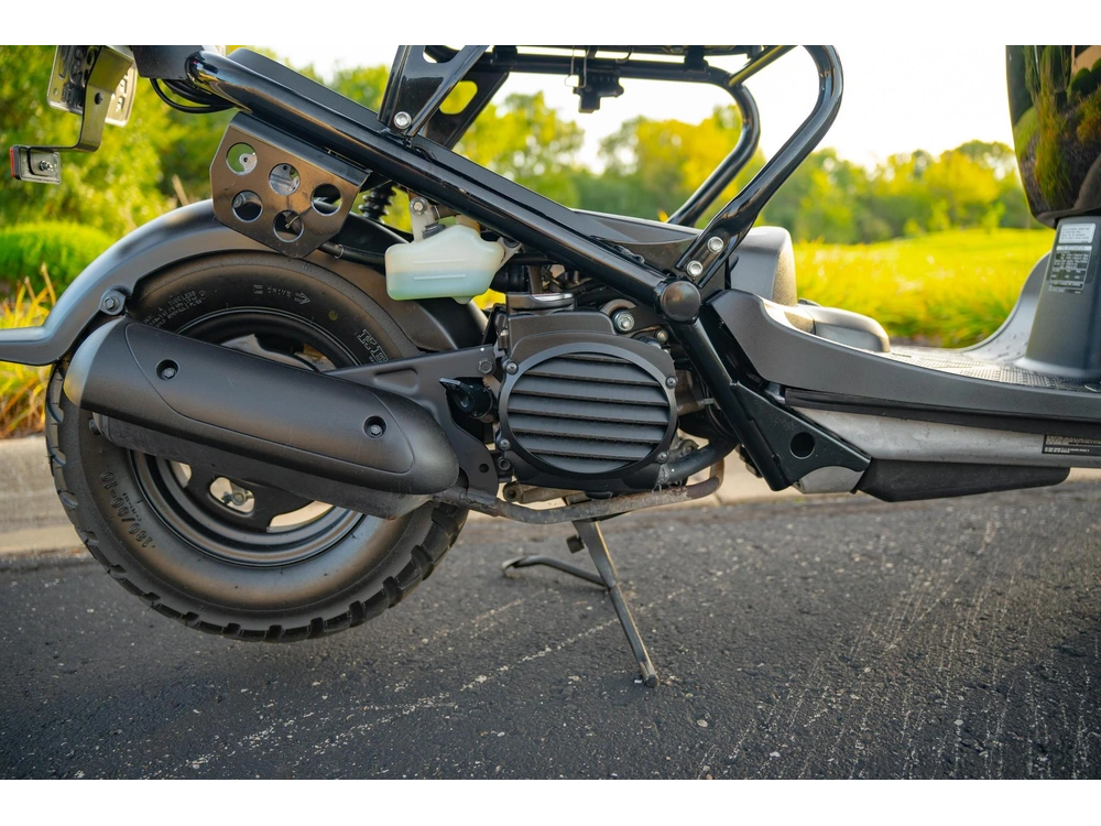 2016 Honda Ruckus