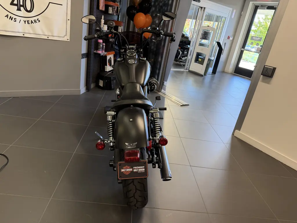 2015 Harley-Davidson STREET BOBFXDB