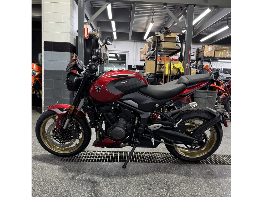 Triumph Trident 800 Rouge 2026