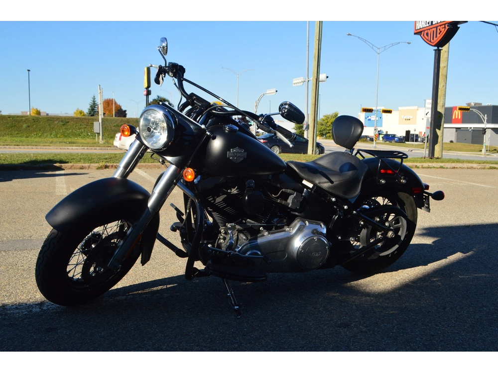 Harley-davidson Fls 2017 alt