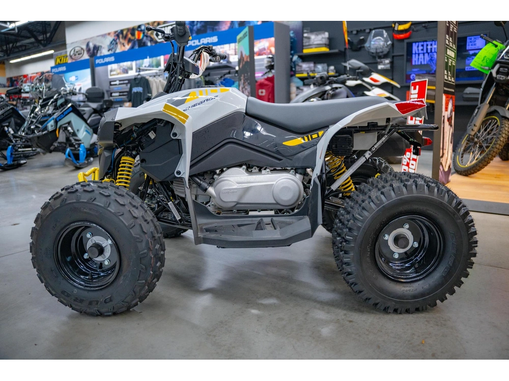 2026 Can-am Renegade 110 Efi
