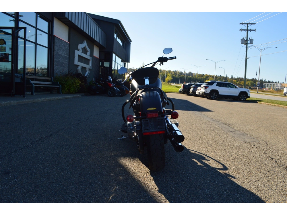 Harley-davidson Fls 2017 alt
