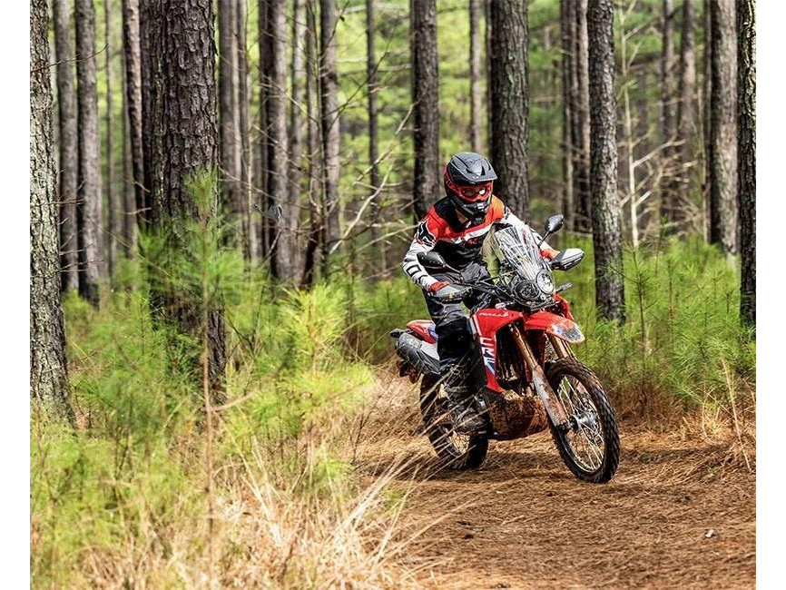 2026 Honda Crf300l Rally Abs