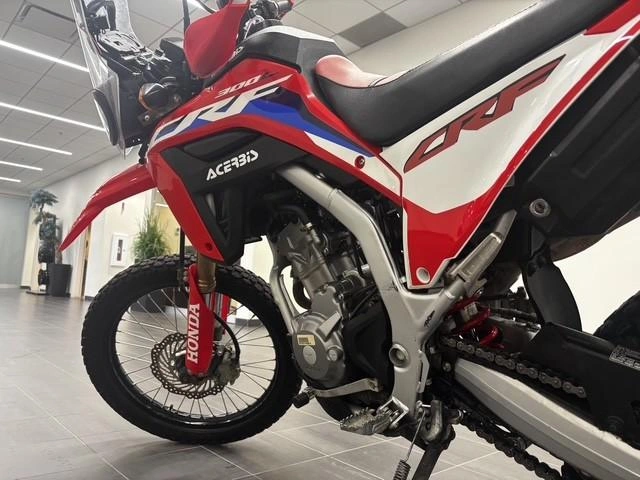 Honda Crf300 Honda Crf300 2022 2022
