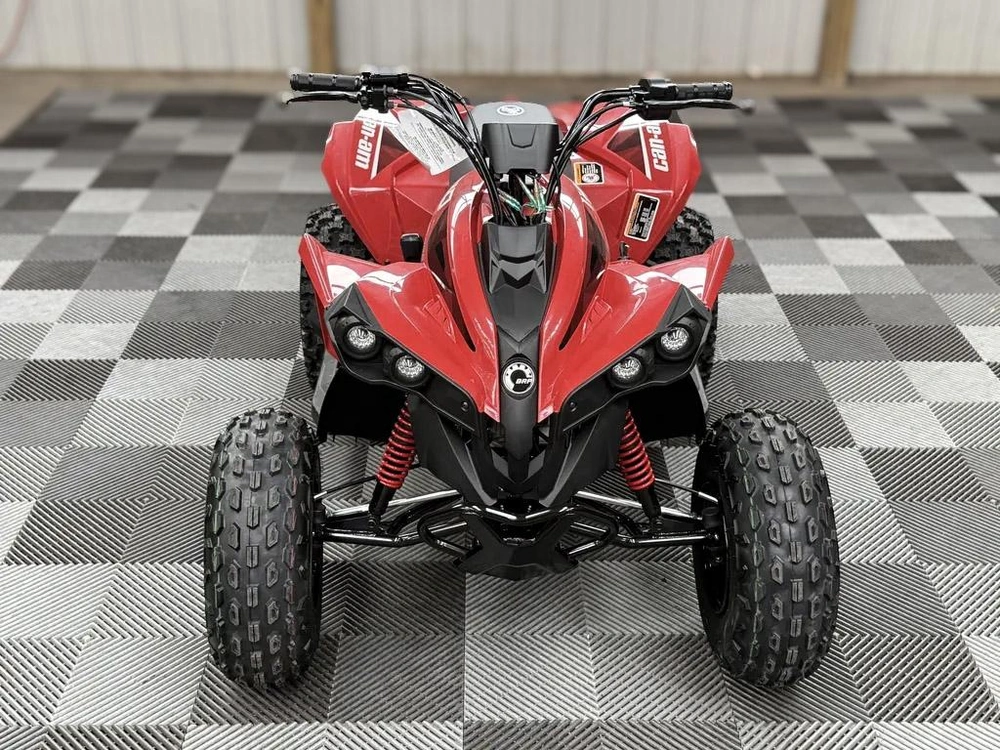 2027 Can-am Renegade 2x4 110
