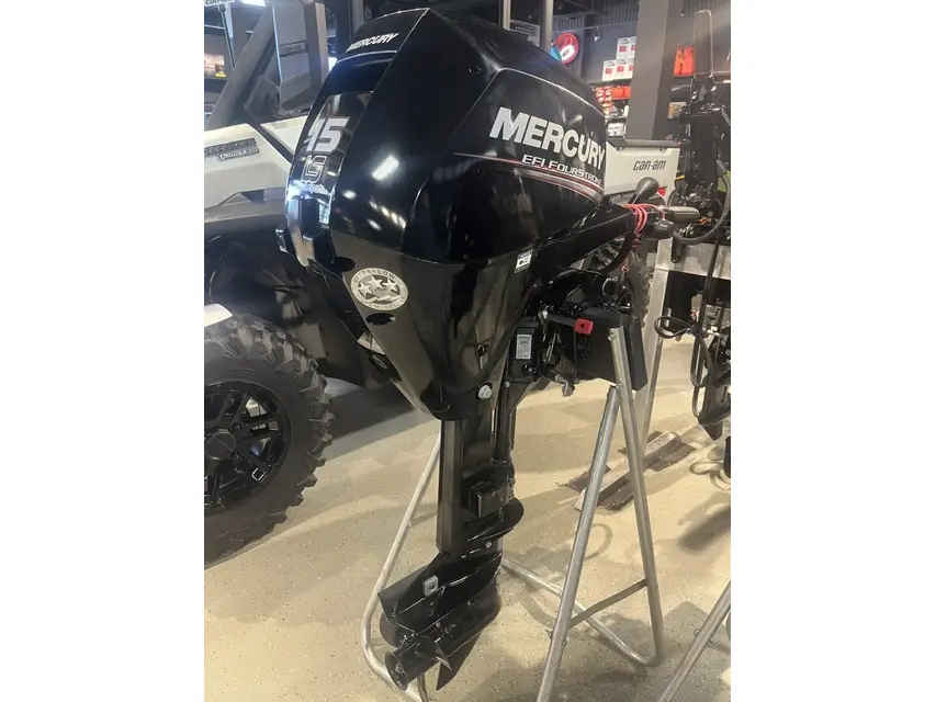 2019 Mercury Marine ME 15MLH