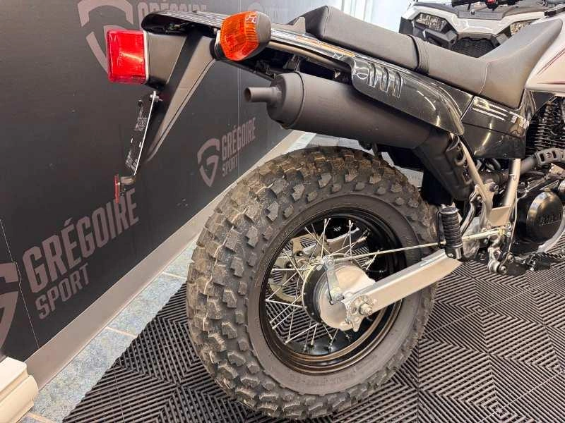 2026 Yamaha Tw200 alt