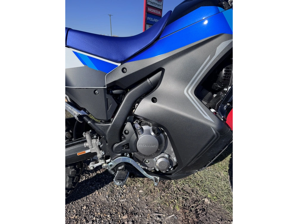 2026 Honda Crf300l Rally alt
