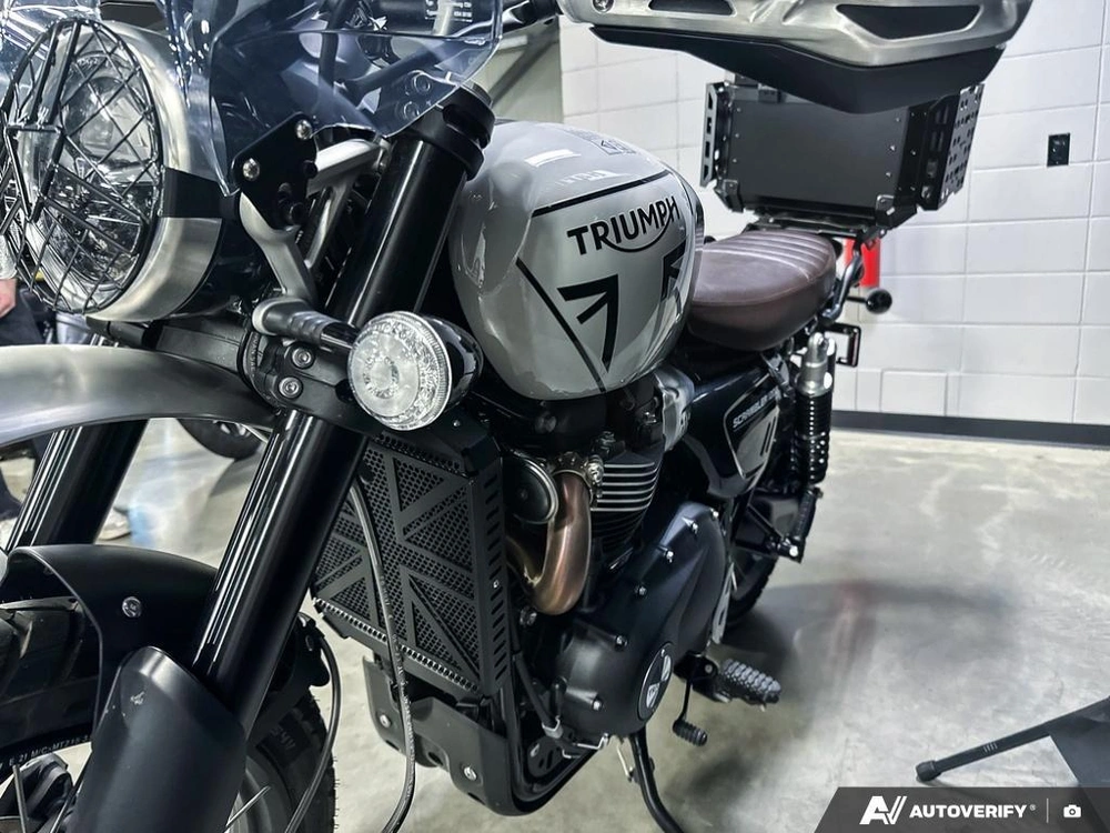 2024 Triumph 1200xc