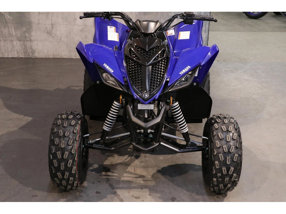 Yamaha Raptor 110 2027