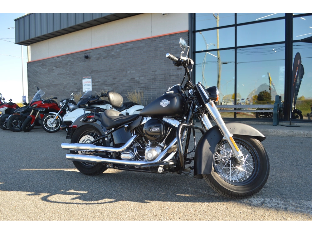 Harley-davidson Fls 2017 alt