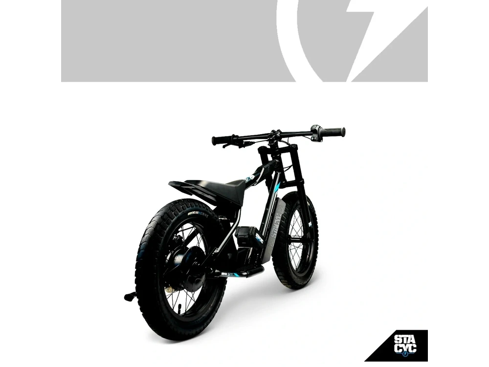 2026 Stacyc 16hdrive