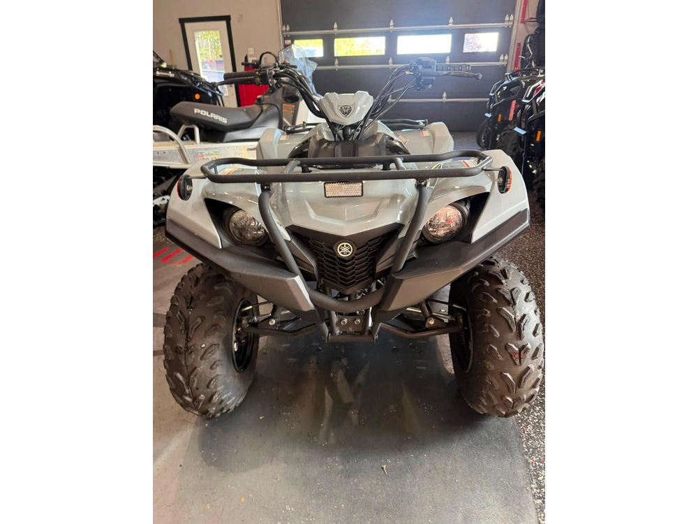 Yamaha Grizzly 90 2023 alt