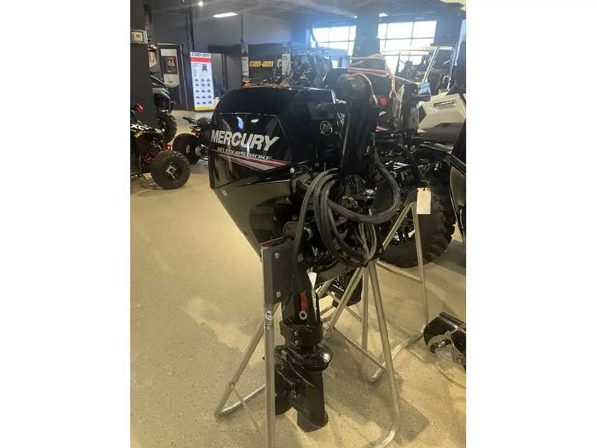 2020 Mercury Marine F15ELH