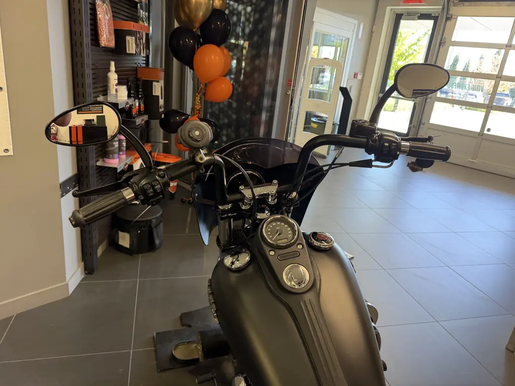 2015 Harley-Davidson STREET BOBFXDB