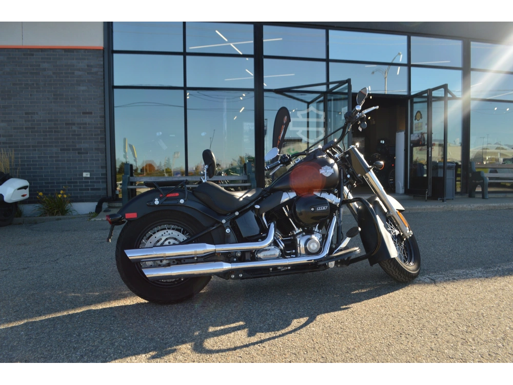 Harley-davidson Fls 2017 alt