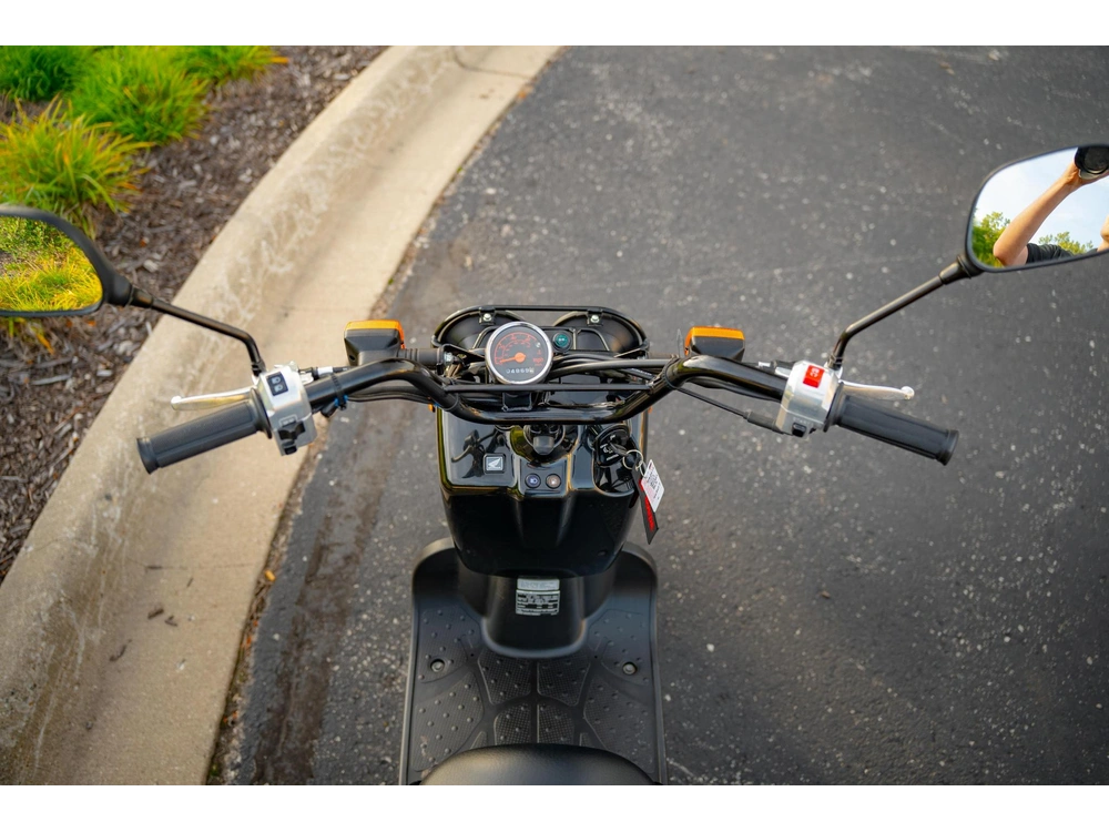 2016 Honda Ruckus