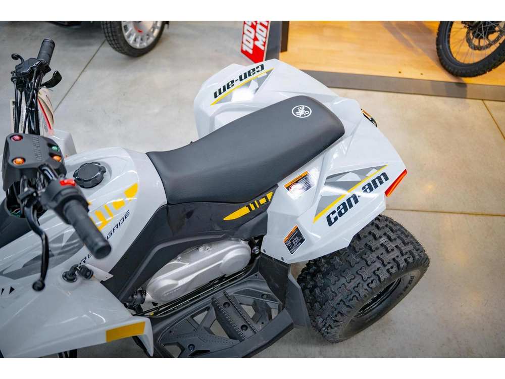 2026 Can-am Renegade 110 Efi