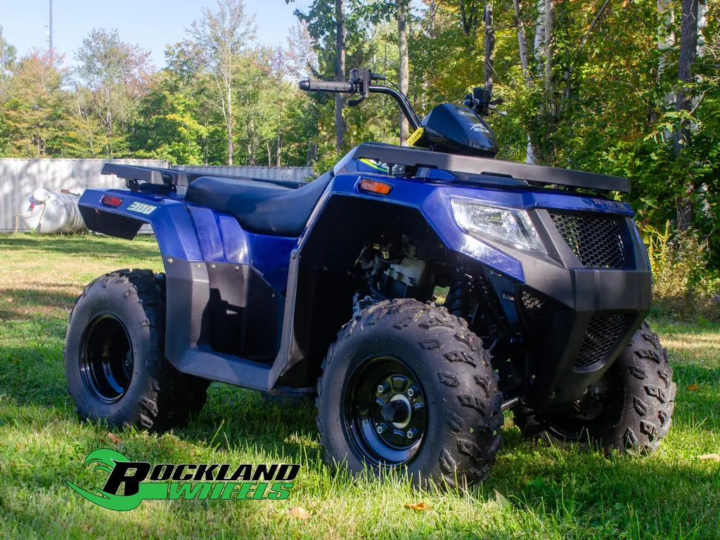 2021 Arctic Cat ALTERRA 300