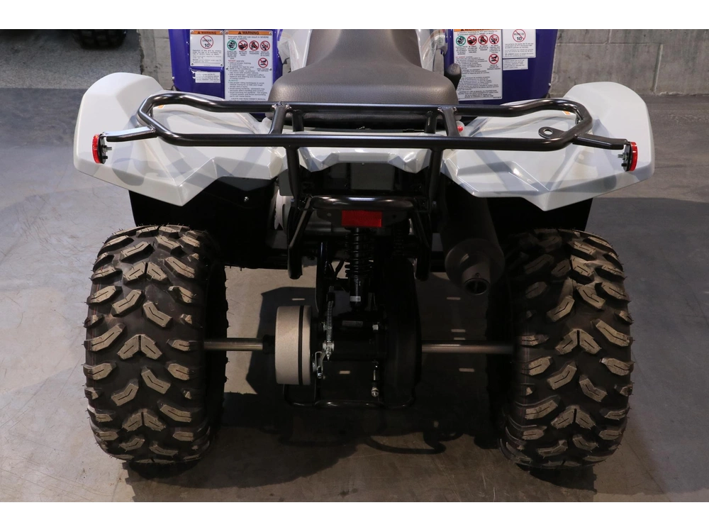 Yamaha Grizzly 110 2027 alt