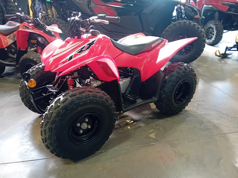 Honda Trx90 2025 alt