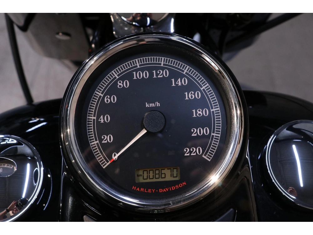 2015 Harley-davidson Softail Slim Fls 103