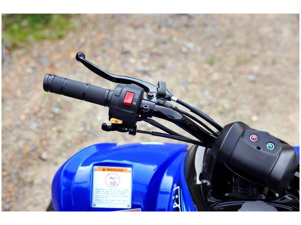 2023 Yamaha Raptor 90