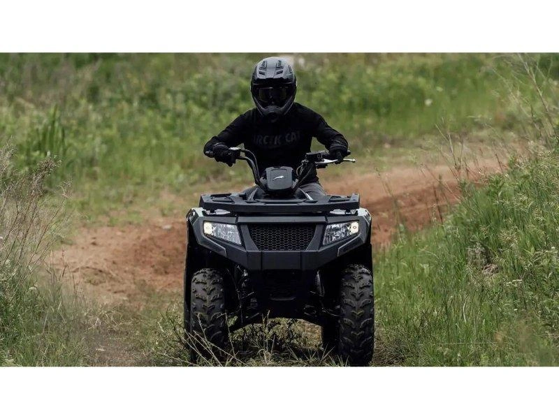 Arctic Cat Alterra 300 2027 alt