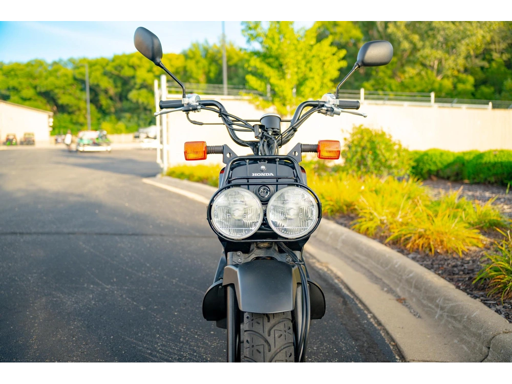 2016 Honda Ruckus