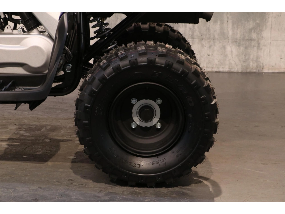 Yamaha Raptor 110 2027