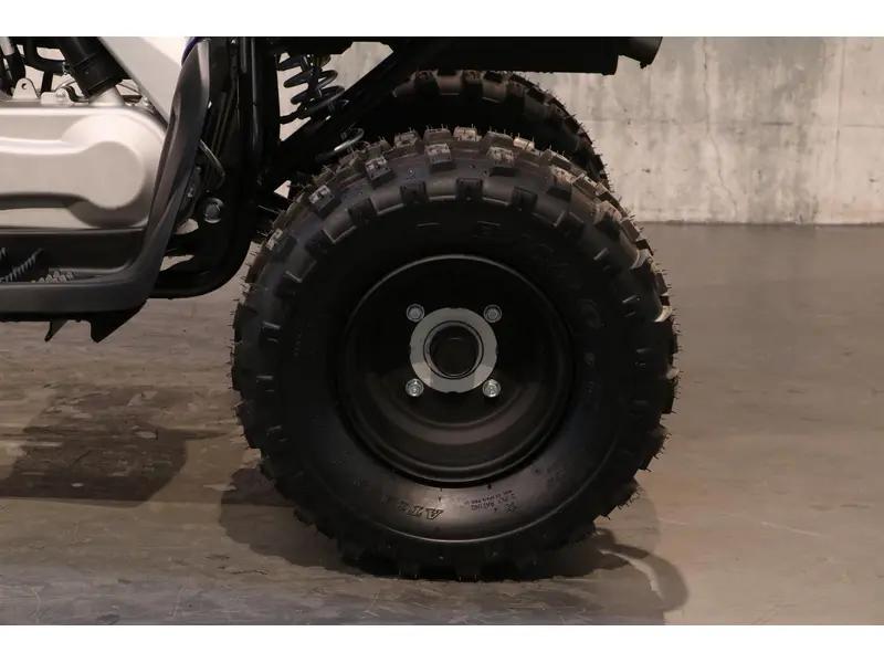 Yamaha RAPTOR 110 2027