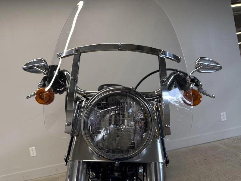 2001 Harley-davidson Cruiser Flstf - Fat Boy™