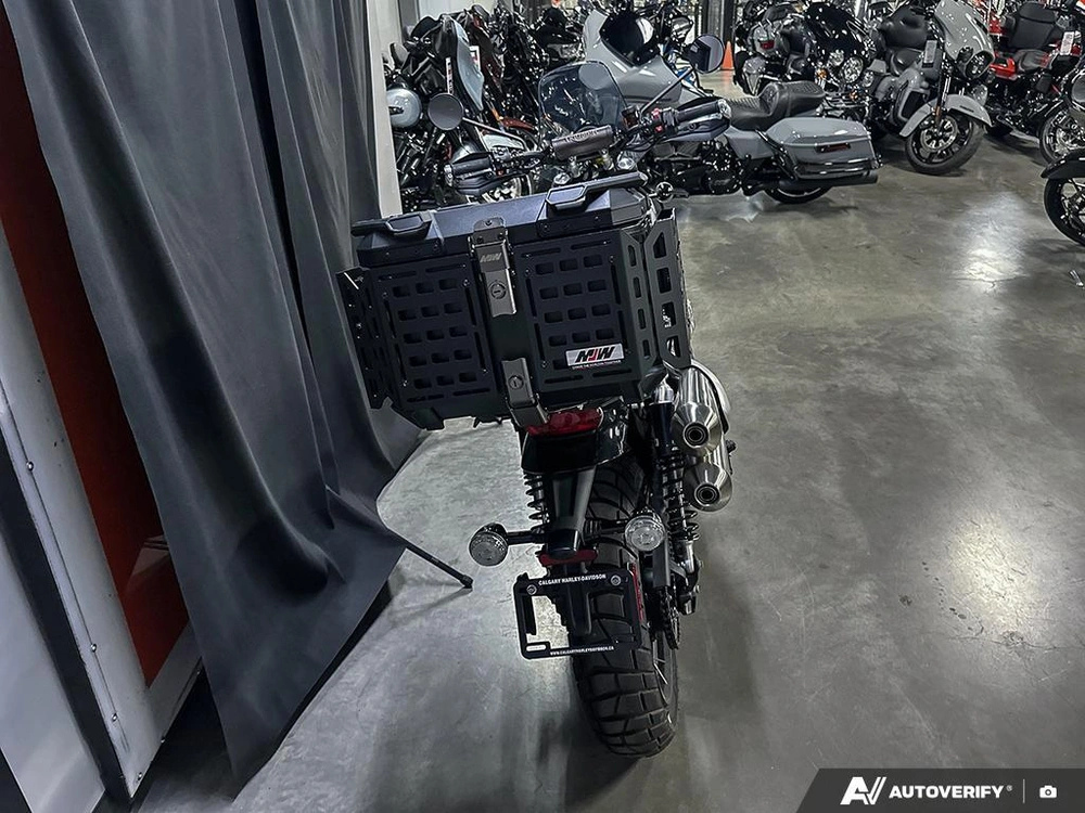 2024 Triumph 1200xc