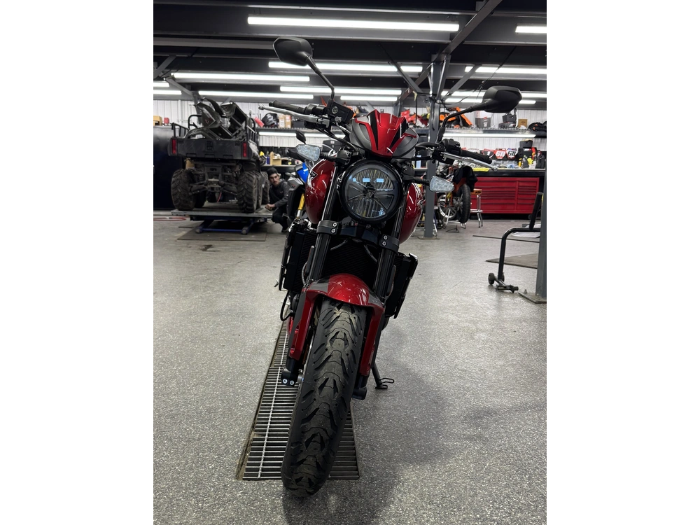 Triumph Trident 800 Rouge 2026