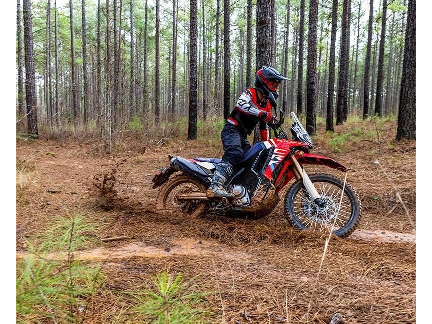 2026 Honda Crf300l Rally Abs