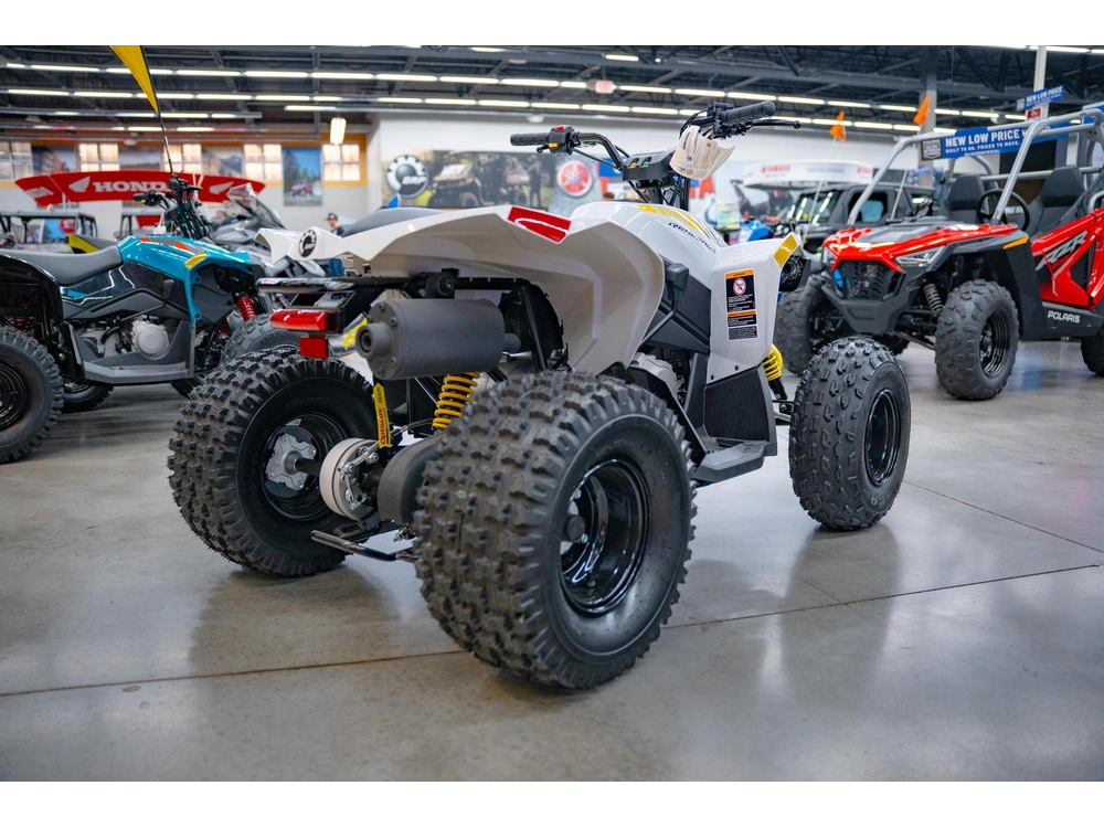 2026 Can-am Renegade 110 Efi