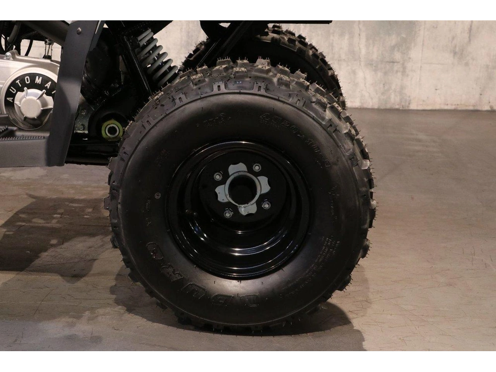 2027 Polaris Phoenix 200 alt