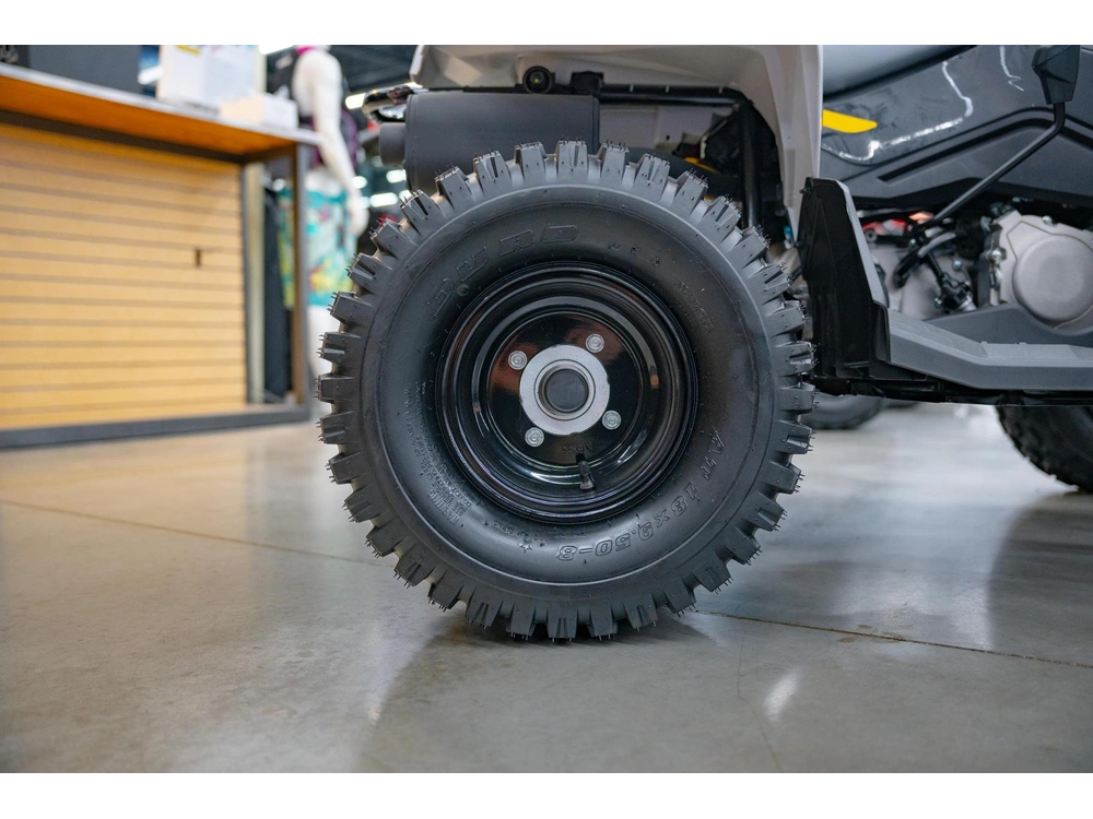 2026 Can-am Renegade 110 Efi