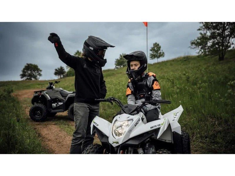 Arctic Cat Alterra 110 2027 alt