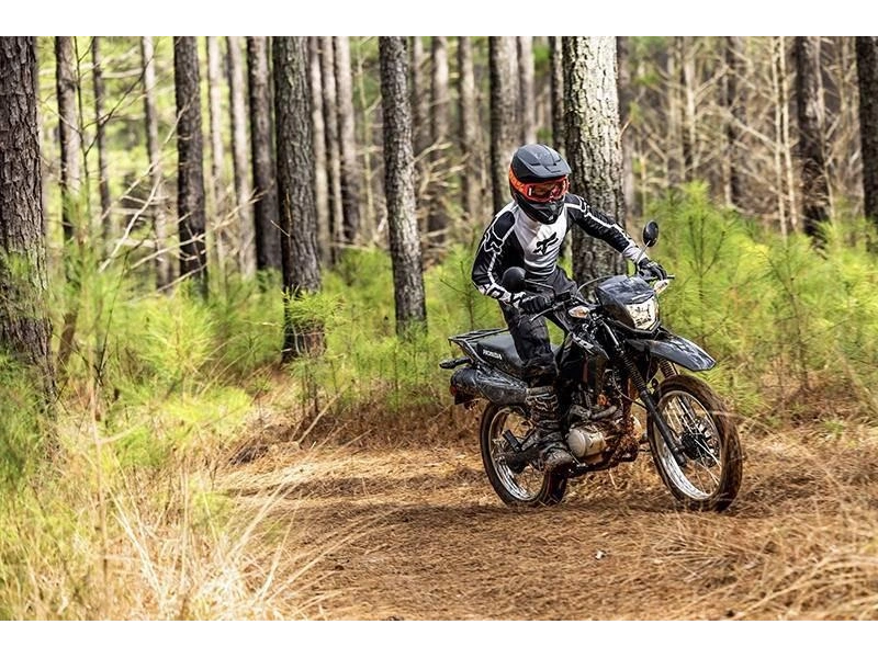 2026 Honda Xr150l