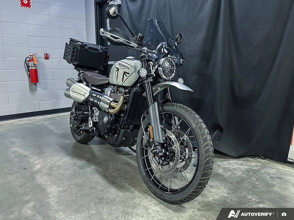 2024 Triumph 1200xc