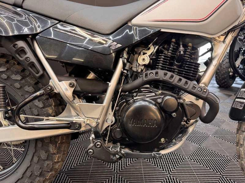2026 Yamaha Tw200 alt