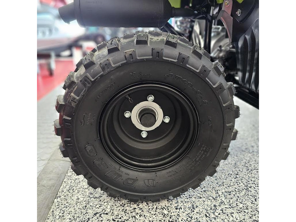 2026 Yamaha Raptor 110 alt