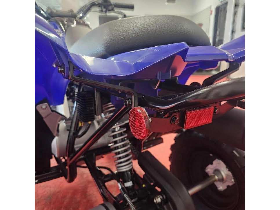 2026 Yamaha Raptor 110 alt