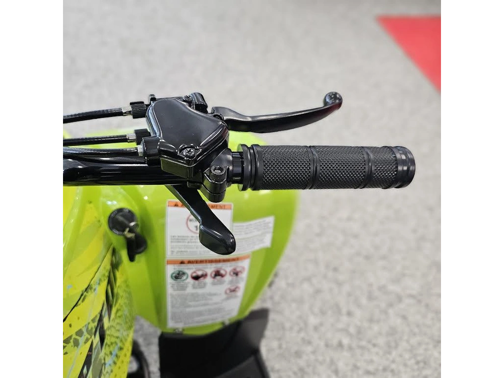 2026 Yamaha Raptor 110 alt